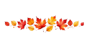 Séparateur décoratif de feuilles d’automne colorées